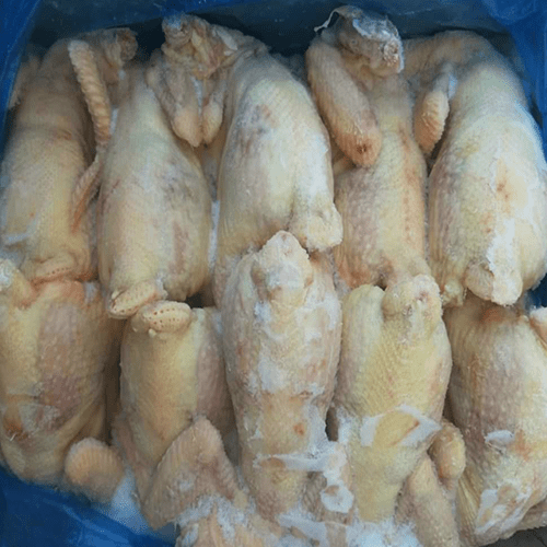 Gà nguyên con đông lạnh