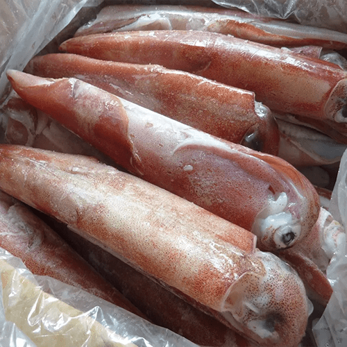 Mực ống đông lạnh